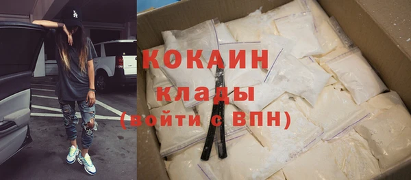 прущие грибы Лиски
