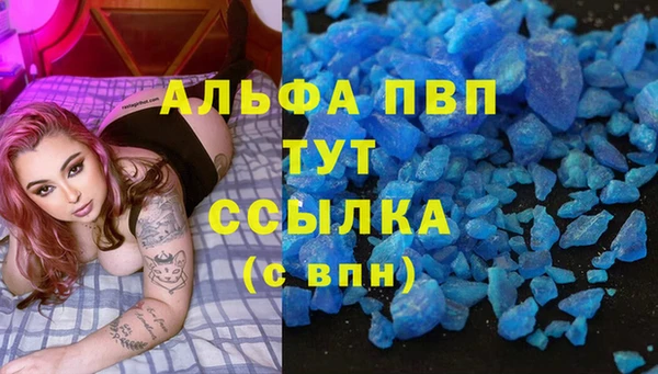 прущие грибы Лабытнанги