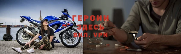 прущие грибы Лабытнанги