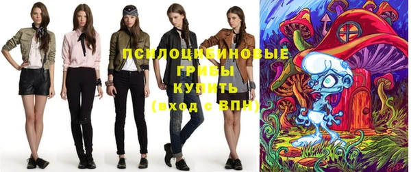 apvp Ладушкин