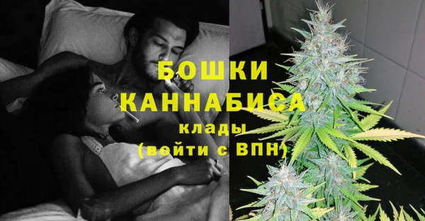 прущие грибы Лабытнанги