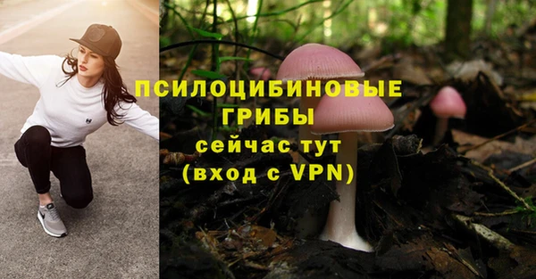 mdma Лагань