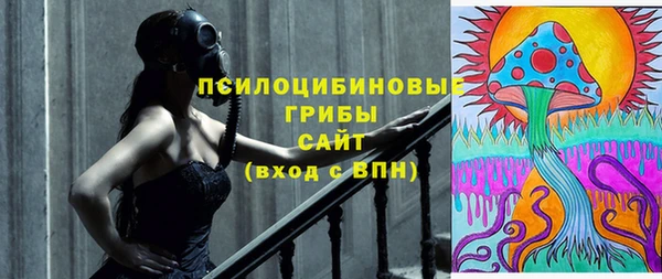 прущие грибы Лабытнанги