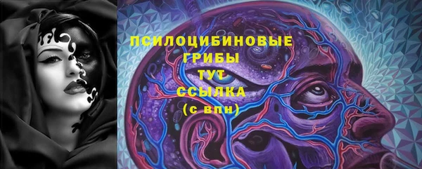 прущие грибы Лиски