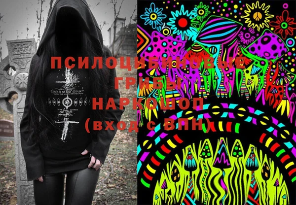 прущие грибы Лабытнанги