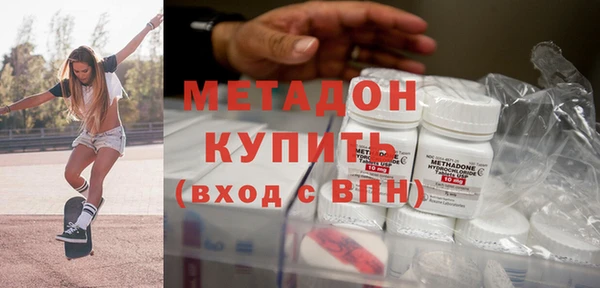 прущие грибы Лабытнанги