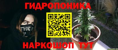 apvp Ирбит
