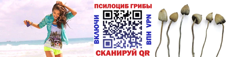 Галлюциногенные грибы Magic Shrooms сайты даркнета клад Урай